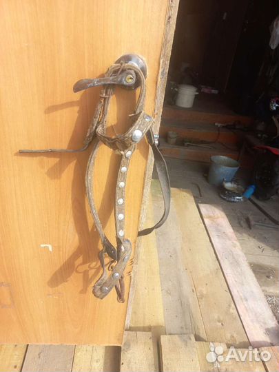 Амуниция для лошади