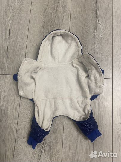 Одежда для собак