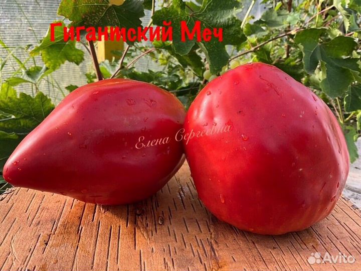 Семена томатов (3)