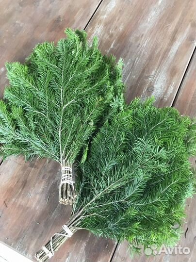 Пихтовые и можжевеловые веники. Веники для бани