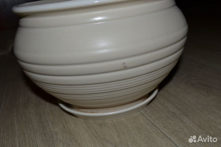 Горшок с кактусом