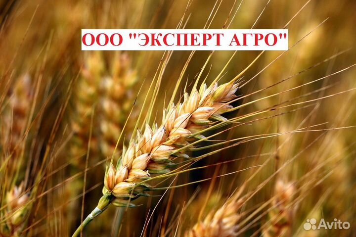 Менеджер по логистике