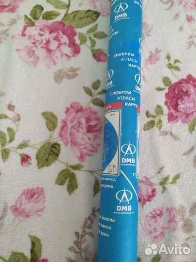 Карта мира физическая на стену