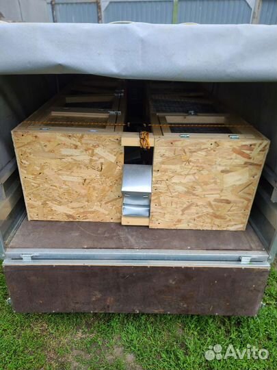 Клетка кролика