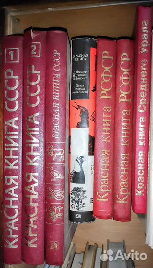 Красная книга ссср, РСФСР
