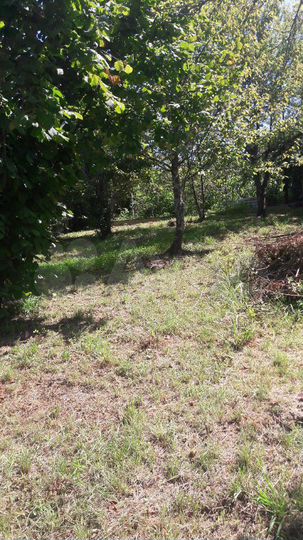 Участок 12 сот. (ИЖС)