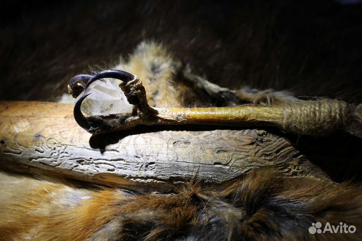 Оберег лапа Ястреба Перепелятника (имитация)