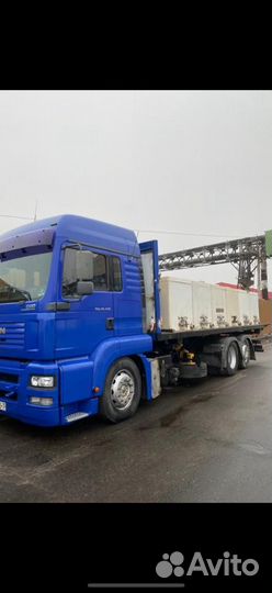 Живой Карп опт розница