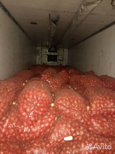 Лук на перо