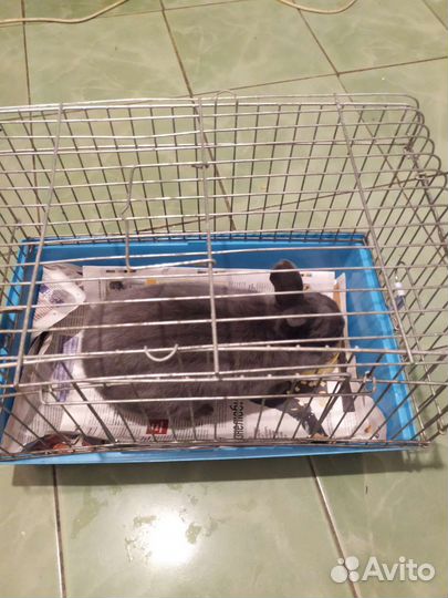 Клетка для домашнего кролика