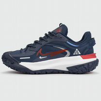 Кроссовки Nike ACG Mountain Fly 2 Low Gtx Blue