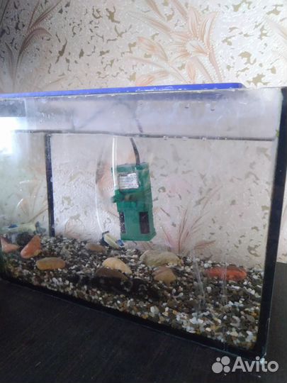 Аквариум