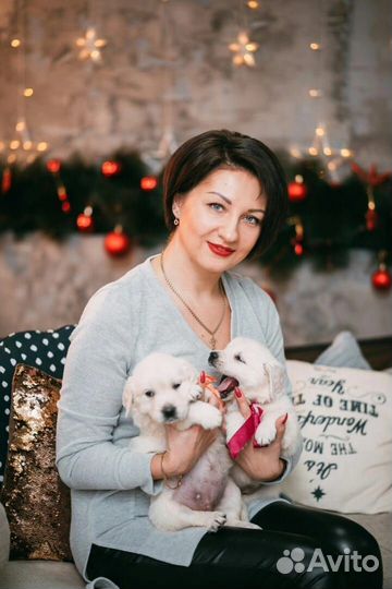 Щенки с документами