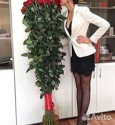 Высокие розы