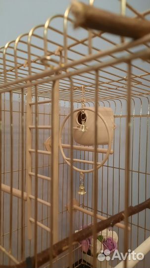Клетка для попугаев