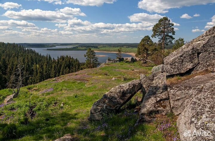 Пассажирские перевозки,трансфер