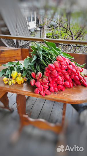 Цветы тюльпаны и букеты с доставкой