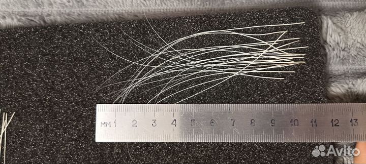 Усы кота Мейн Куна