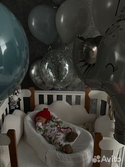 Кокон зевушка