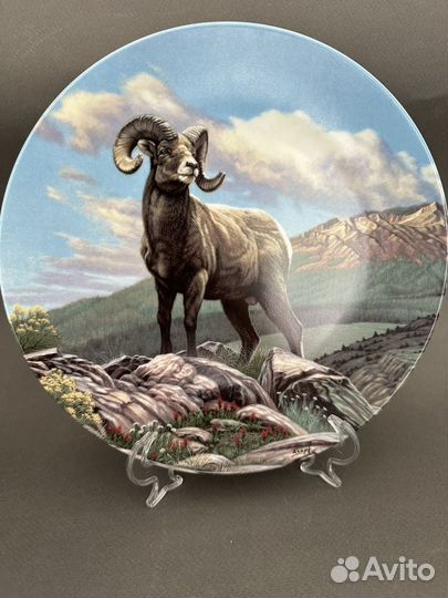 Тарелки настенные Германия