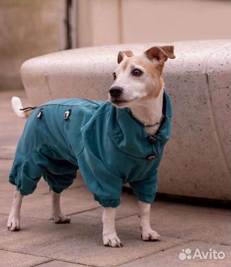 Комбинезон-дождевик для средней собаки
