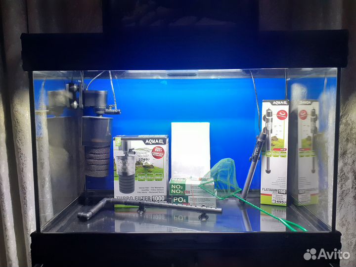 Аквариум 