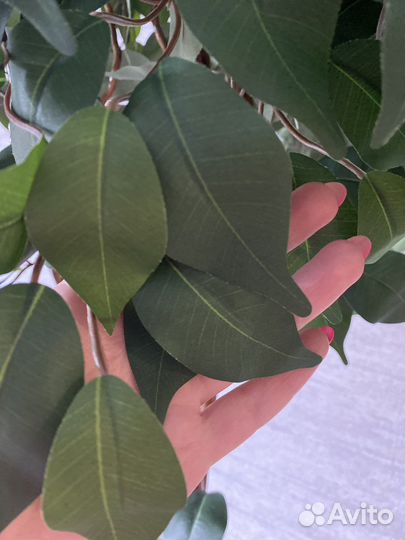 Искусственное дерево фикус, самшит, пальма