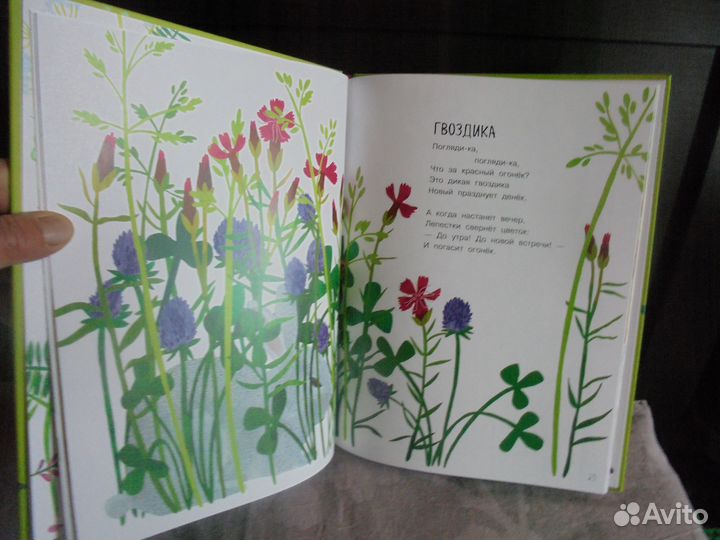 Наши цветы Е.Серова илл.Ст.Янковская