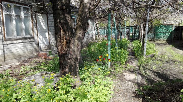 Дом 50 м² на участке 5,2 сот.