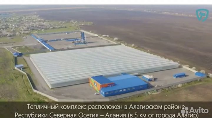 Агрокомплекс