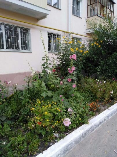 3-к. квартира, 55,4 м², 2/5 эт.