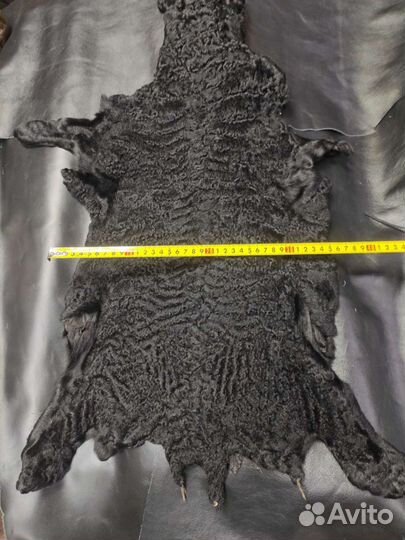 Шкура каракуля