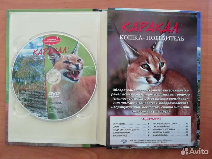 Фильмы про животных на DVD