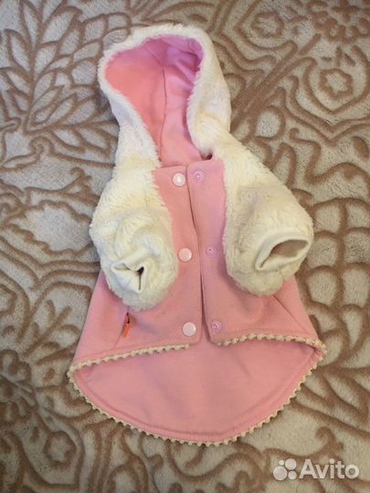 Одежда для животных