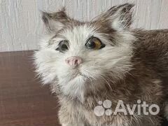 Игрушка кошка