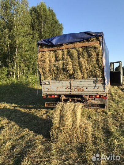 Сено в тюках