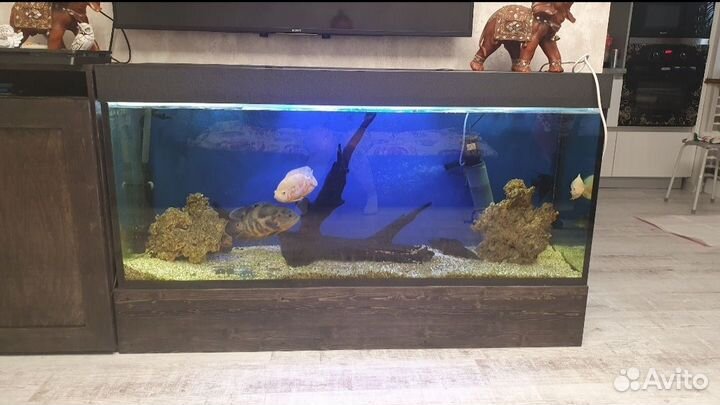 Аквариум 405 литров