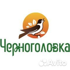 Кладовщик
