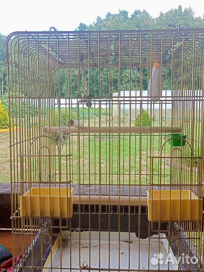 Клетка для попугая