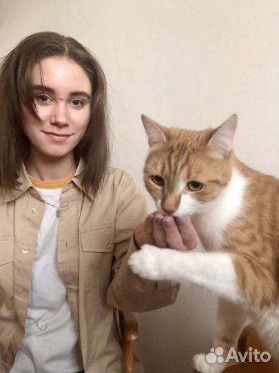 Передержка домашних животных/Выгул