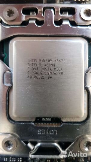 Asus rampage 3 gene+3x8 RAM+xeon X5670 комплект