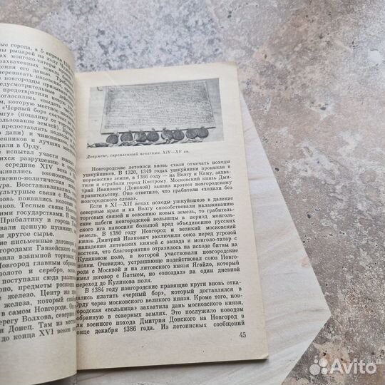 Наша Новгородская земля. 1981 г