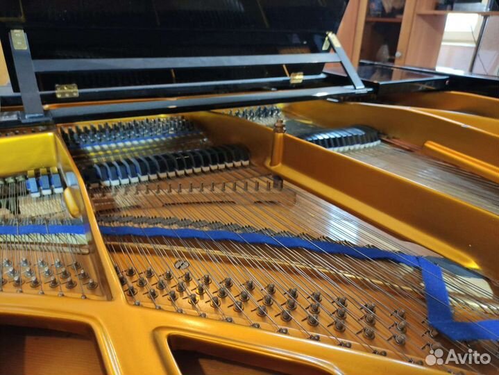 Рояль bluthner Блютнер 230 см Grand piano