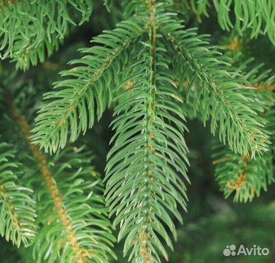 Ёлка искусственная литая премиум