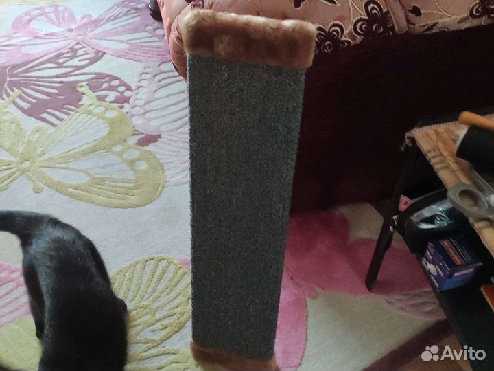 Когтеточки