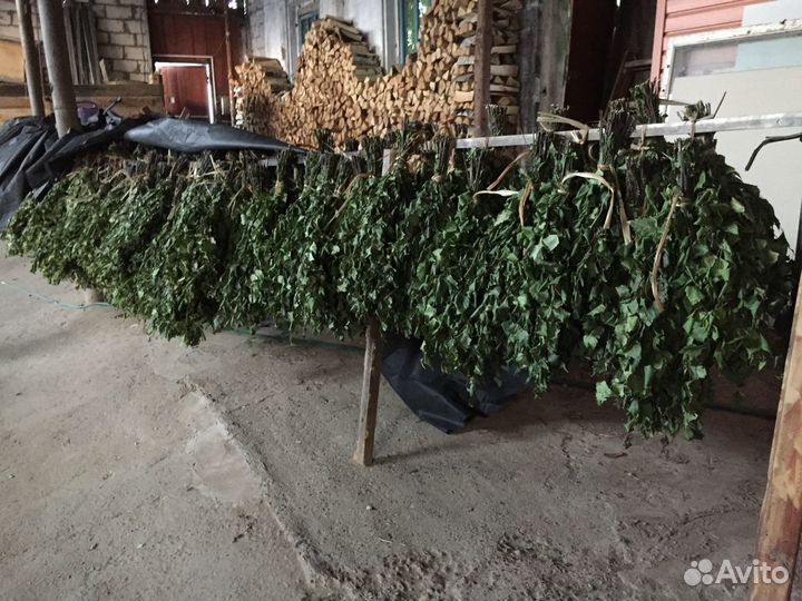 Банные веники