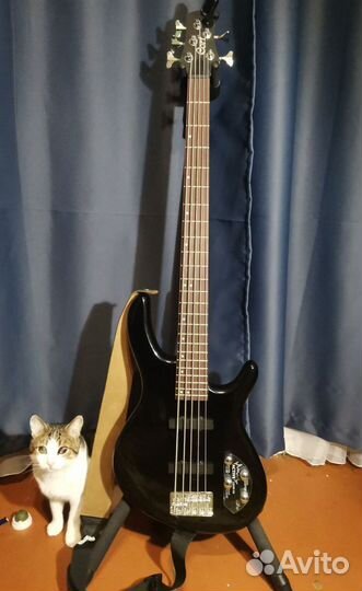 Бас гитара cort 5 струн