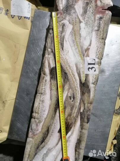 Рыба свежемороженая