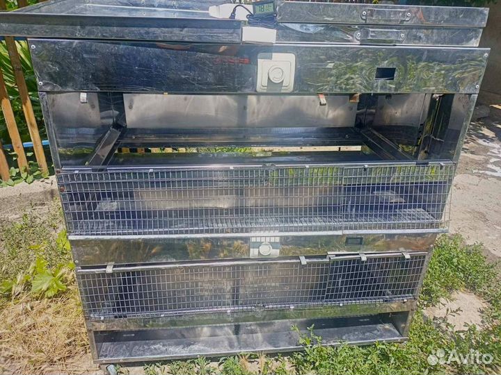 Брудер для цыплят бу