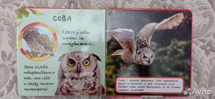 Книга для самых маленьких 